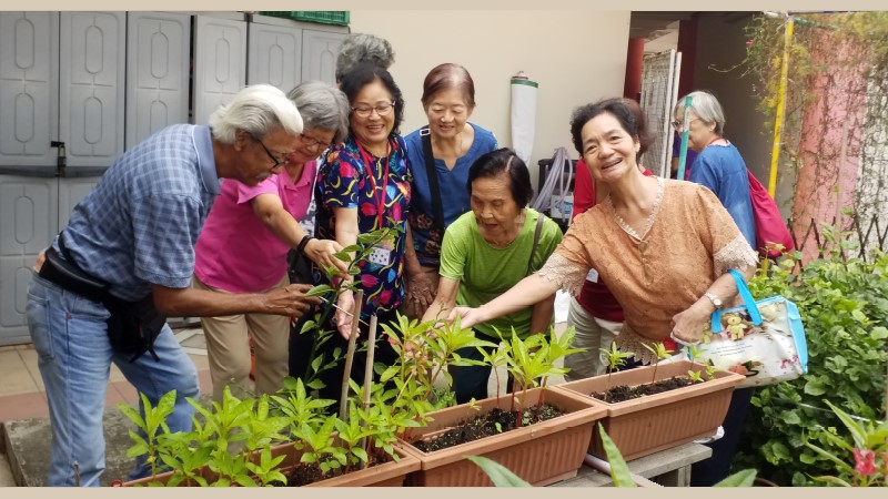 AWE Horticulture Active Ageing Programmes