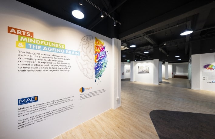 MAE Arts, Mindfulness and Ageing Brain