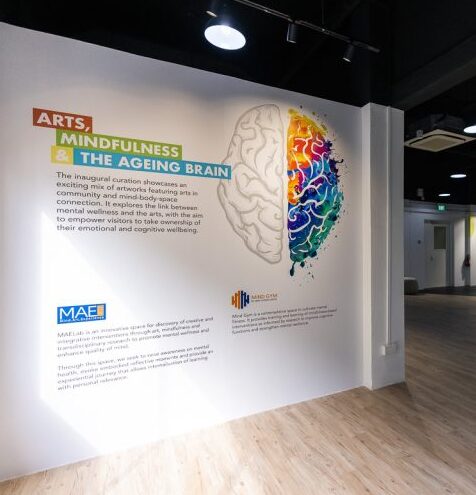 Intern Venture MAELab Curation