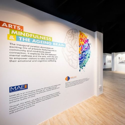 Arts, Mindfulness & The Ageing Brain